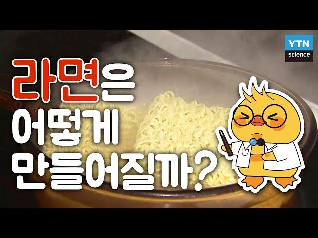 5천만 누구나 좋아하는 라면의 재미있는 제조과정  / YTN 사이언스