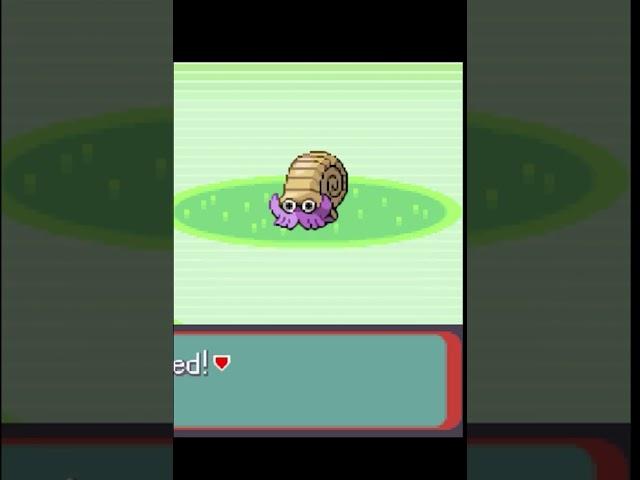 This is why shinies are so rewarding during a game like this #pokemonemerald