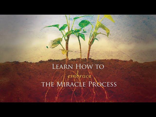 How to Embrace the Miracle Process - Bill Johnson | Strengthen Yourself in the Lord