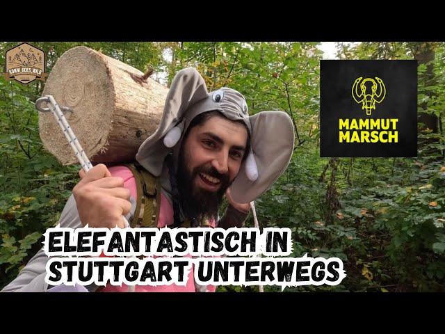 30 KM Mammutmarsch Stuttgart I Der etwas andere Marsch I Elefantenkostüm und Baumstamm mit am Start