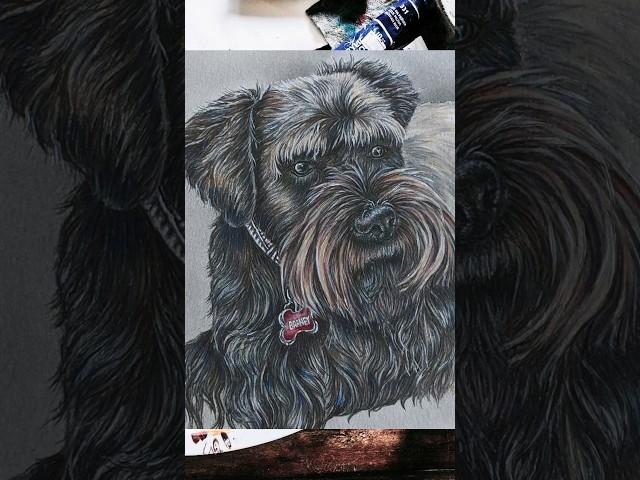 Pet Portraits! #petparent #petpainting #petphotos #petdrawing #petart #petportrait #petlover #art