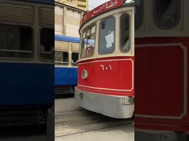 Iconic History | The amazing tram with nearly 100 years of service in Alexandria Egypt