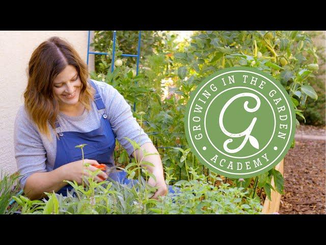 Growing in the Garden Academy: Learn How to Grow Your Own Food