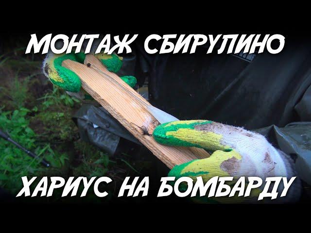 Монтаж сбирулино / Хариус на бомбарду