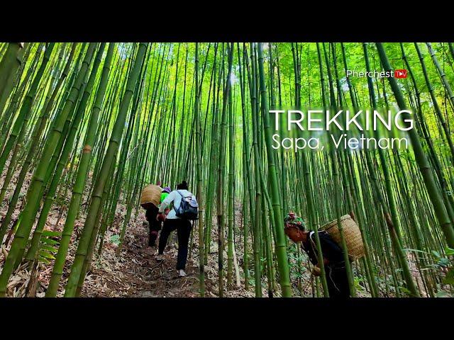 TREKKING IN RICE FIELD | SAPA, VIETNAM