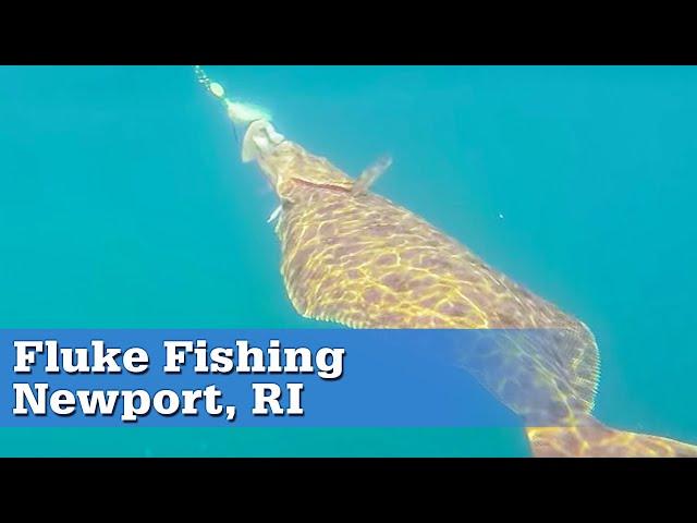 Fluke Fishing in Newport, RI | S13 E5