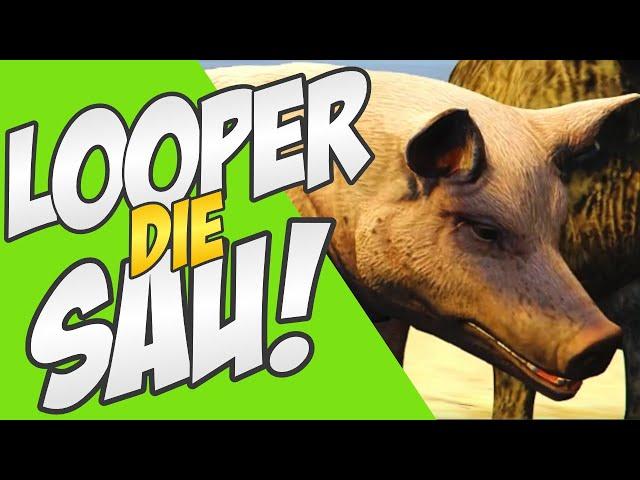 LOOPER die SAU!  #immortalrp #gtaroleplay #gtarp #gtarpclips #funny #funnyvideo #lustig