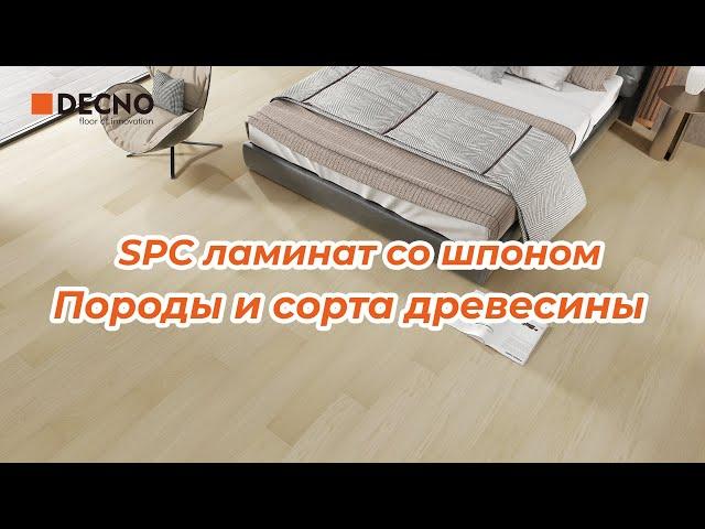 SPC ламинат со шпоном｜Породы и сорта древесины｜DECNO