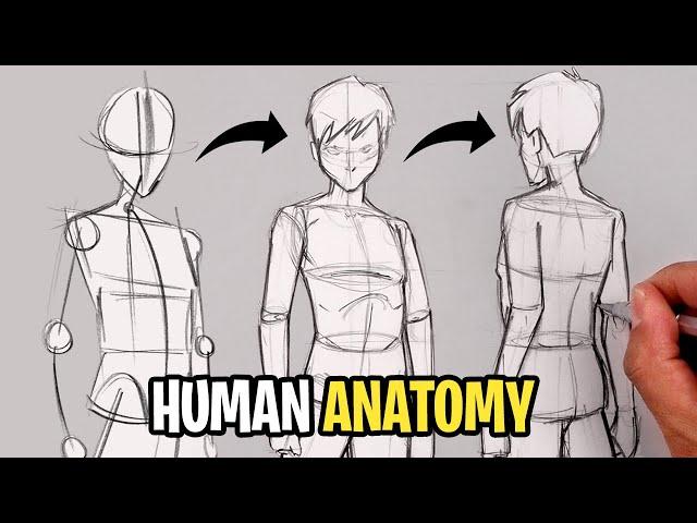 How To Draw HUMAN BODY | The Basics | Sketch Tutorial