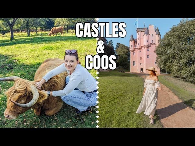 East Coast Scotland Road Trip - Highland Cow Tour and Scottish Castles