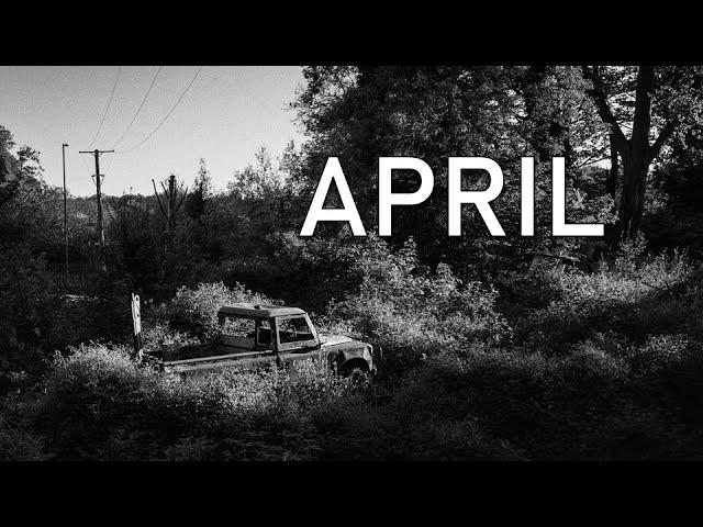 Photos I Captured in April 2025 (GFX, OM-1 and Ricoh GR3)