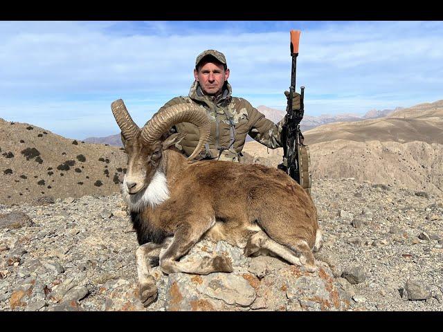 Red Sheep Hunting in Iran 2023. - Охота на Красного барана в Иране 2023.