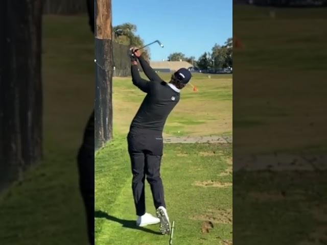 Adam Scott golf swing #shorts #short #shortvideo