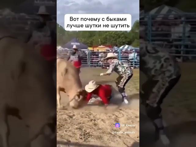 ВОТ ЭТО ИМЕННО НЕ ШУТКА БЫЛА