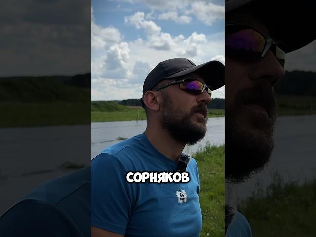 Алексей Иванович про кору и сорняки, а еще больше аналитики от Алексея в ролике по ссылке️