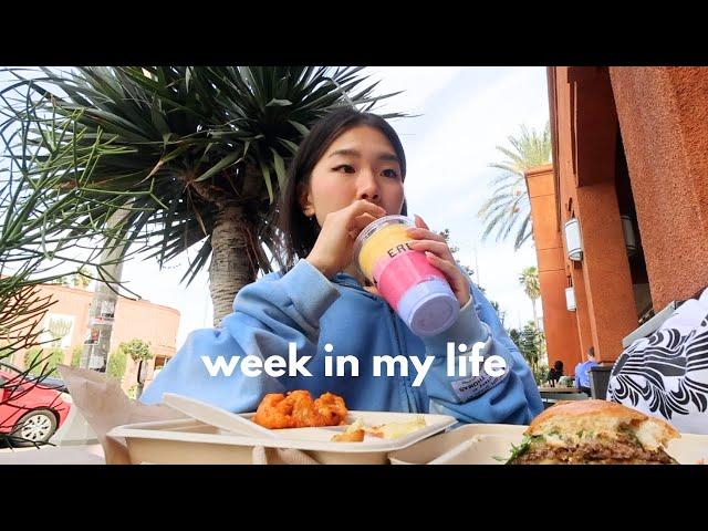 week in my life │ back home in LA, erewhon mukbang, taking polo to the er