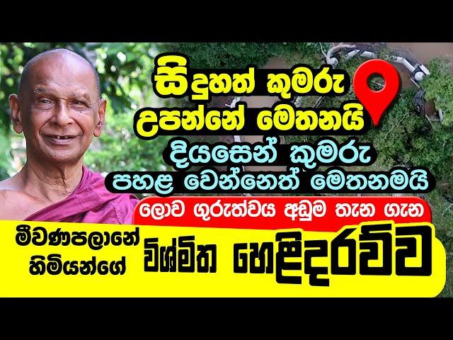 සිදුහත් කුමරු උපන් තැන දියසෙන් පහළ වෙයිද? Meewanapalane Siri Dhammalankara himi | Budun Upan Deshaya