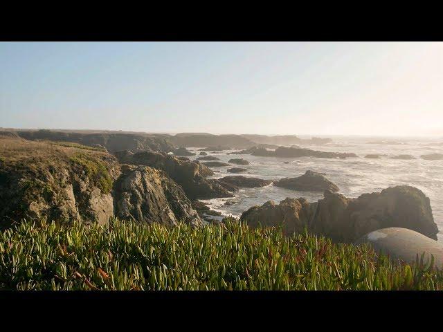 California 101: North Coast Best Beaches