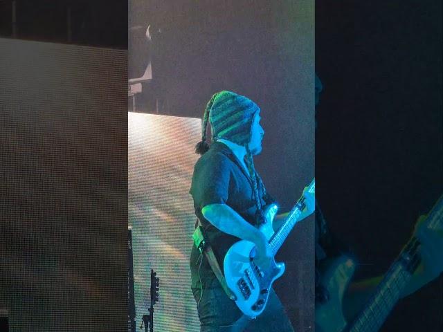 The Leper Affinity - Opeth - Live in Berlin 2025