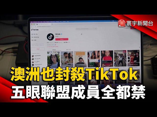 澳洲也封殺TikTok 五眼聯盟成員全都禁了｜#寰宇新聞 @globalnewstw