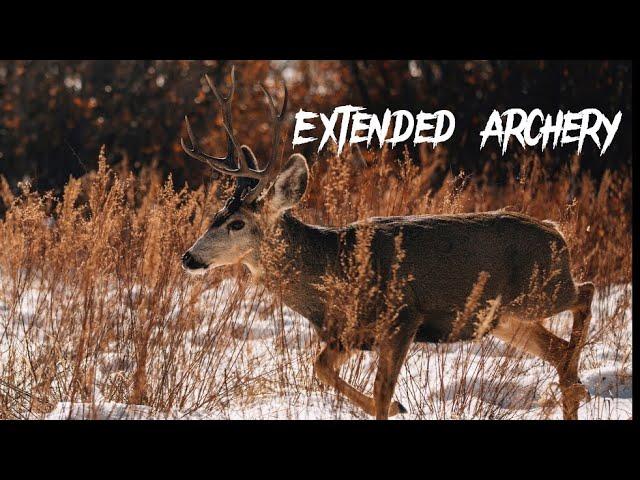 October Morning Hunt | 2022 Utah Archery