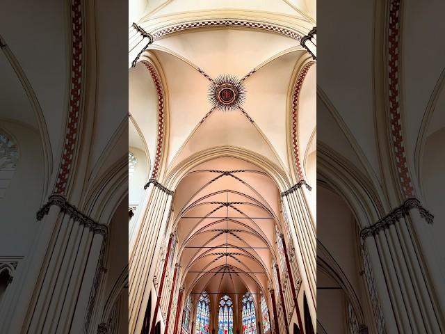 The Bruges cathedral that has stood for 1,000 years #shorts