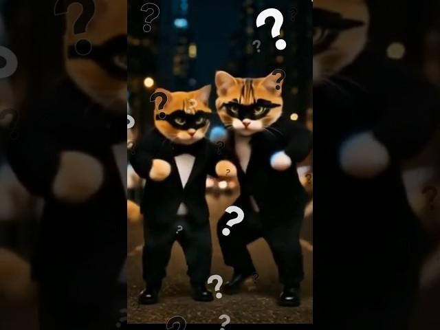 격투냥 #CatShorts #댄스고양이#CatDance  #FunnyCats#CatComedy#CuteCats#고양이쇼츠 #MeowMode#냥이댄스#DancingCats#고양이짤