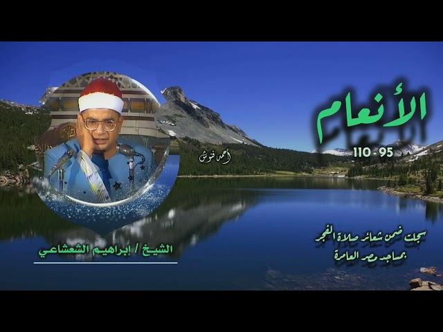الشيخ إبراهيم الشعشاعي | سورة الأنعام 95-110 | خارجي