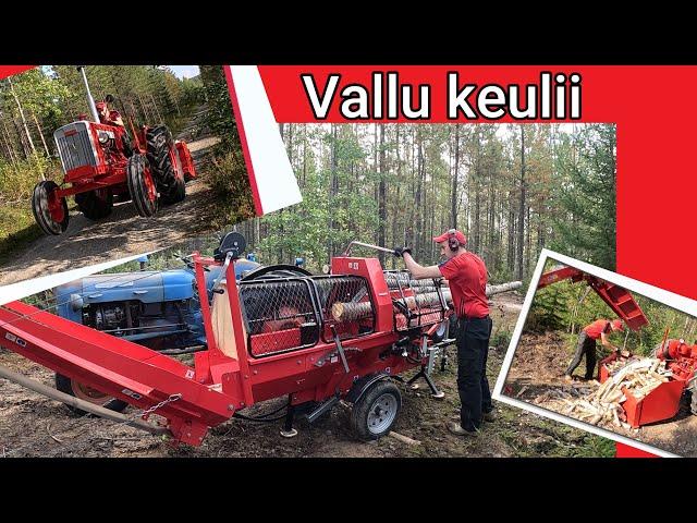 Chinese Firewood Processor and let's make firewood. Valmet and Dexta Tractors are helping me!!!