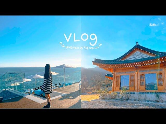 [일상vlog] 바다뷰카페와 산뷰카페 투어 | 각각의 또다른 매력️ | 부산살면좋은점⁉️ | 카페투어는즐거워