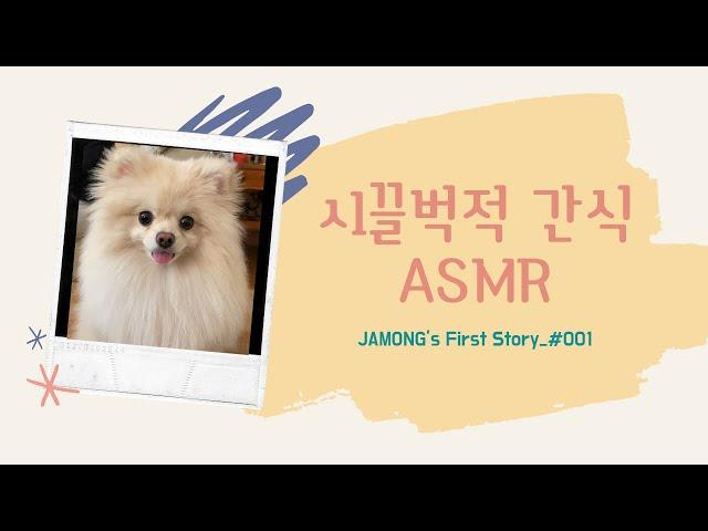 First ASMR eating Doggy Snacks  | Pomeranian | Jamong Diary | Elaine | Dog VLOG | Daily VLOG
