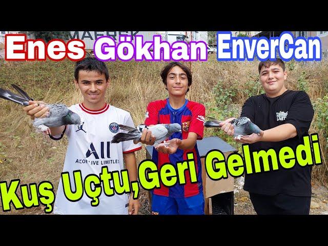 Kuş Uçtu Geri Gelmedi. Enes,Gökhan ve EnverCan. Gebze Taklacı Güvercin Kümesleri