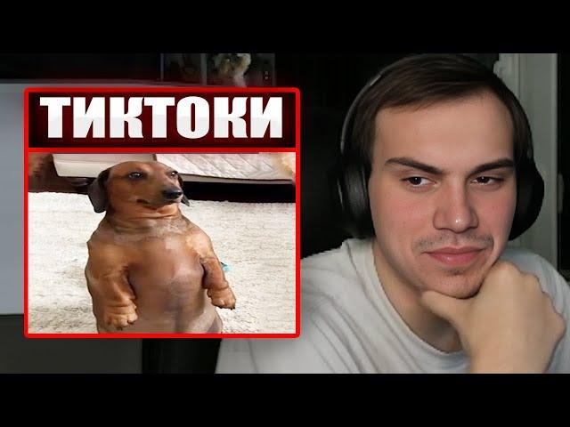 ГЛЕБ СМОТРИТ ТИКТОКИ ОТ ЗРИТЕЛЕЙ #30 | Sasavot