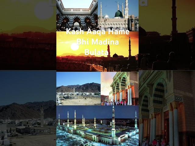 Islamic world video ### Asik Raja