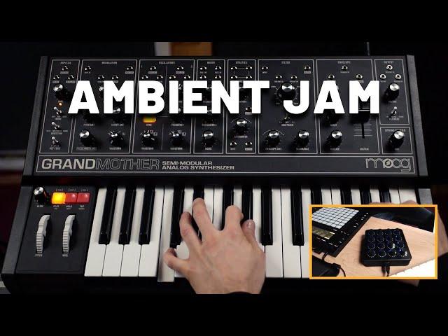 Ambient jam with Moog Grandmother (jam session)