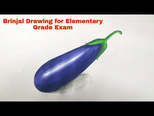 Easy brinjal Drawing for Elementary & Intermediate Grade Exam students | Easy Brinjal Drawing