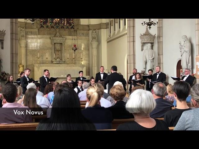 Vox Novus