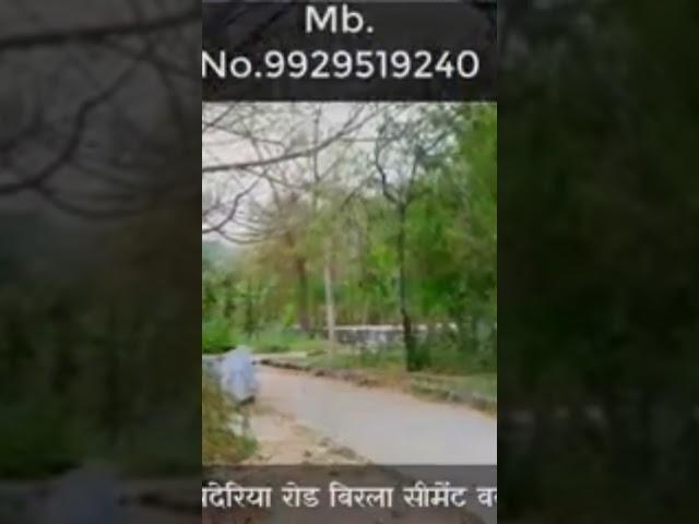 cancer ka ilaaj