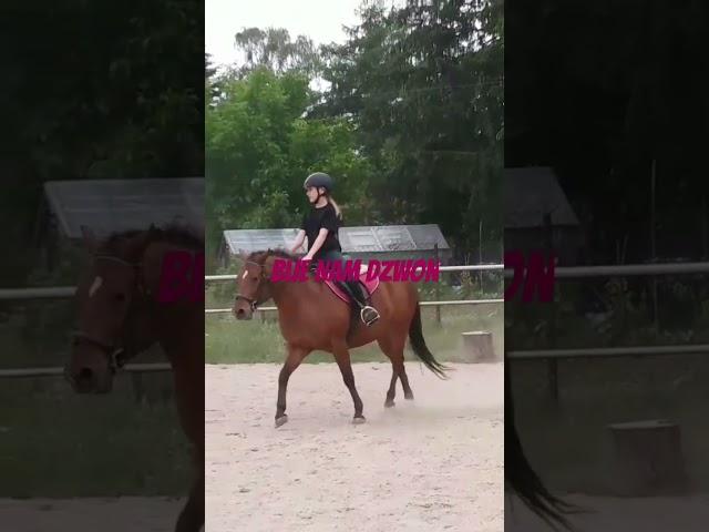 wiśta wio#konie #equestrian #jazda konna