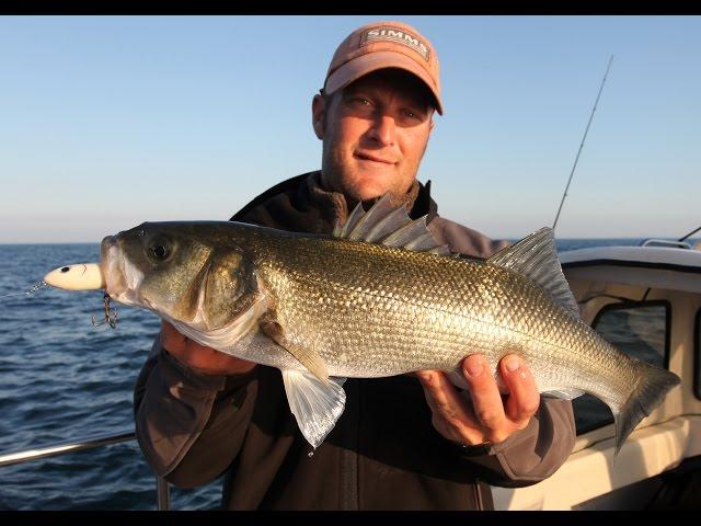Bass Fishing With Topwater Lures  Video - Day Two