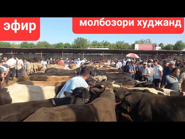 ШАНБЕБОЗОР МОЛБОЗОРИ ХУДЖАНД ХУЧАНД ТОЖИКИСТОН molbozor BOZOR