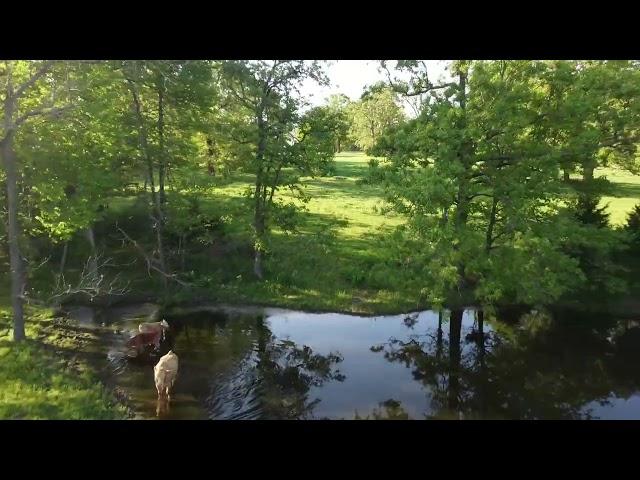 Modern Prairie Estate on 80 +/- Acres For Sale in Southwest Missouri