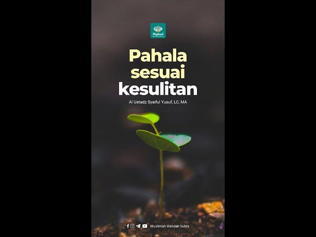 Pahala sesuai kesulitan  |  Al Ustadz Syaiful Yusuf, LC, MA