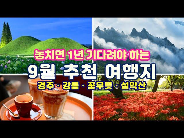 [9월 추천여행지] 설레임과 감동의 9월에 가기 좋은 1박2일 가을여행지 15곳(인스타 성지 경주 포토 핫스팟/웨이팅 지옥 강릉 유명 카페/국내 3대 꽃무릇 축제/설악산 6개 코스