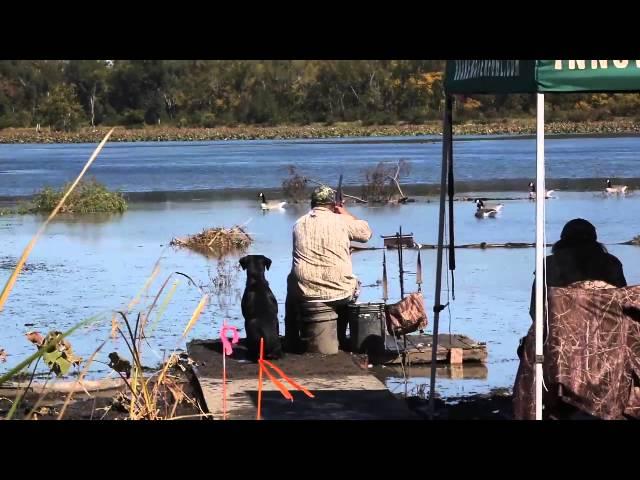 Grand Retriever Test