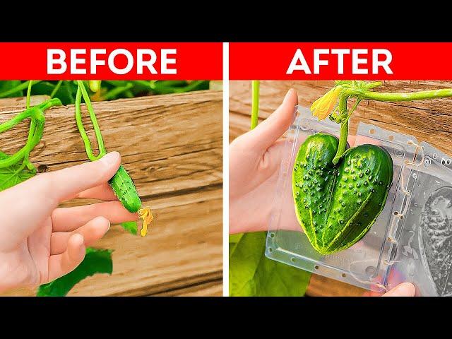 Unusual Gardening Hacks And Plant Growing Tips You Have to Try