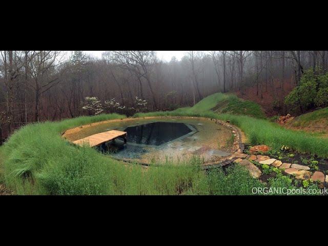 How to make a Natural : Organic Pool in America