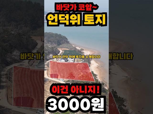 바닷가 코앞~ 토지 헐값에 매매합니다. #shorts