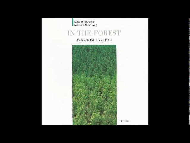 Takatoshi Naitoh (内藤孝敏) - In The Forest (1993) [Full Album]