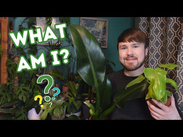 Help Identify Plants! Birthday Plant Haul with Some Mystery Varieties (11 Plants)